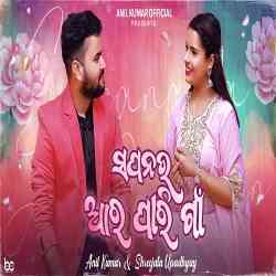 Sapanara Aara Paari Gaan -Cover Song- Anil, Shreejata Upadhyay